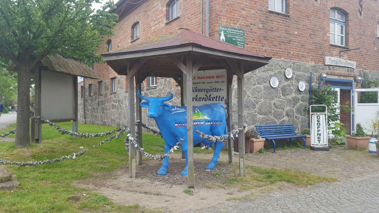 Ferienwohnung Finja In Putgarten, Kap Arkona Ruegen Luaran gambar