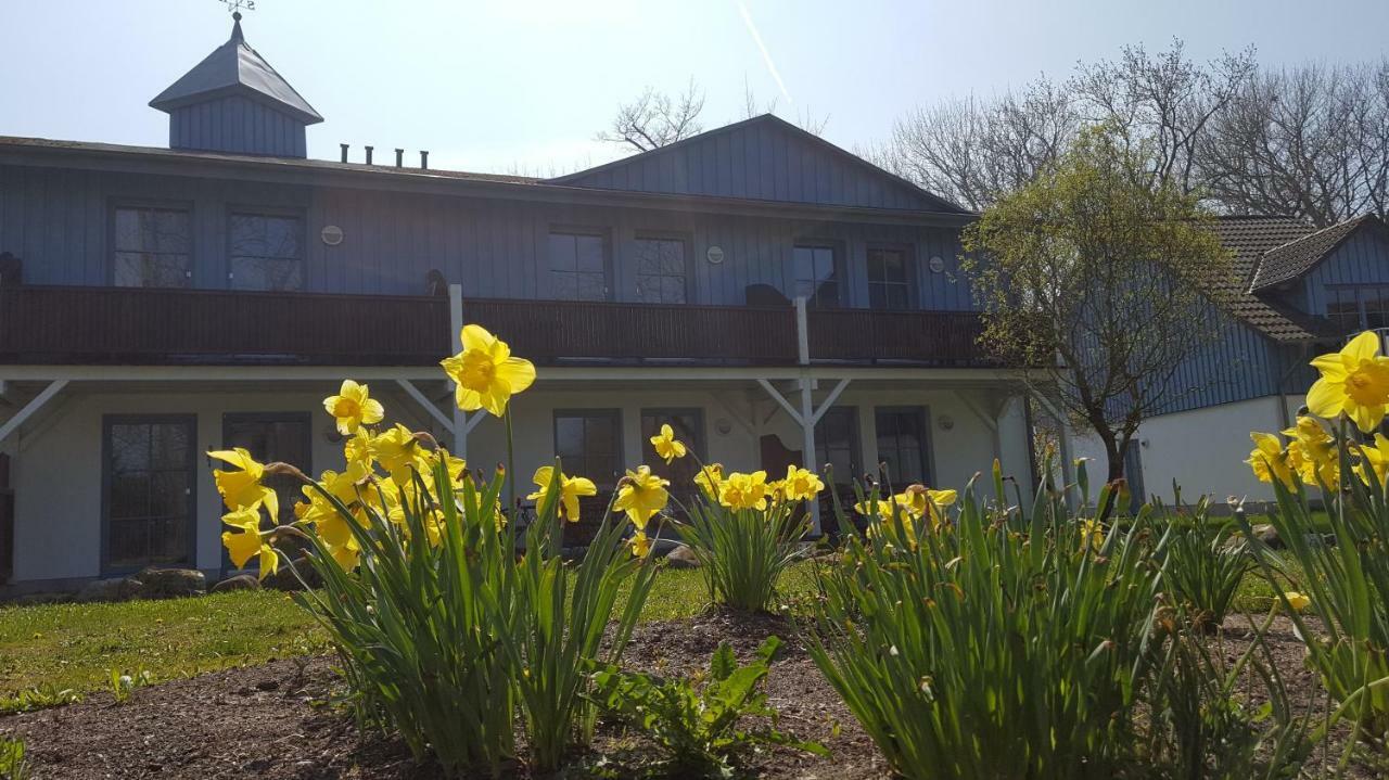 Ferienwohnung Finja In Putgarten, Kap Arkona Ruegen Luaran gambar