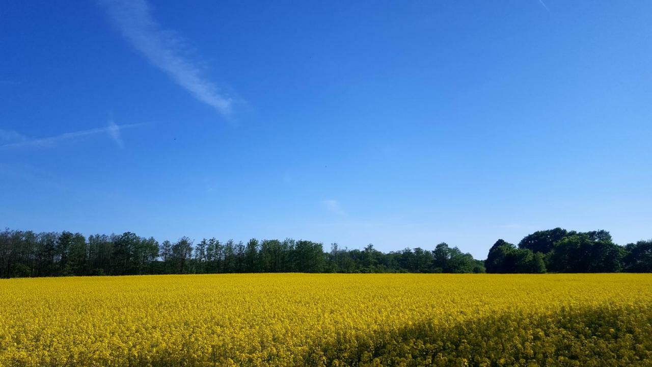 Ferienwohnung Finja In Putgarten, Kap Arkona Ruegen Luaran gambar