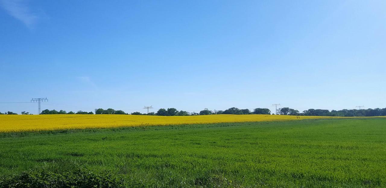 Ferienwohnung Finja In Putgarten, Kap Arkona Ruegen Luaran gambar